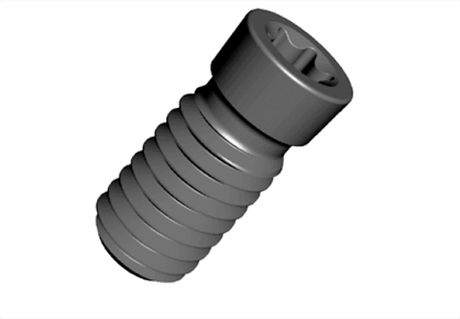 Rectified adjustment screw
