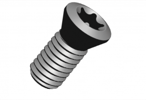 Conic head insert screw
