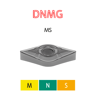 DNMG-MS