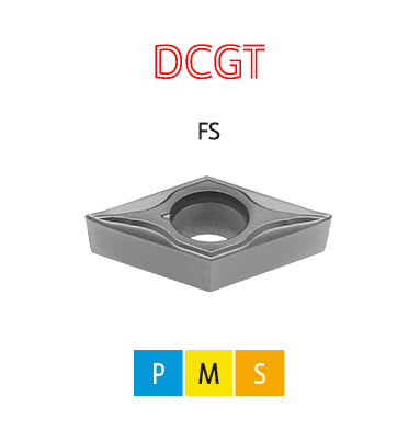 DCGT-FS